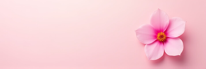 Fototapeta premium Pink floral design features a single petal flower against a clean background perfect for love and wedding concepts._00003_