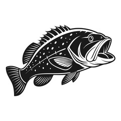 Black Grouper Fish  Vector Art and Illustration