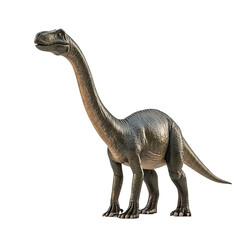 Angled view full body shot of extremely perfect looking single Diplodocus animal isolated on a white transparent background