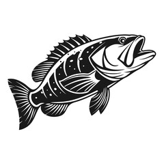 Black Grouper Fish  Vector Art and Illustration