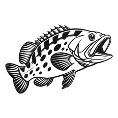 Black Grouper Fish  Vector Art and Illustration