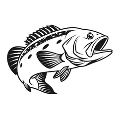 Black Grouper Fish  Vector Art and Illustration