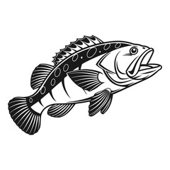 Black Grouper Fish  Vector Art and Illustration