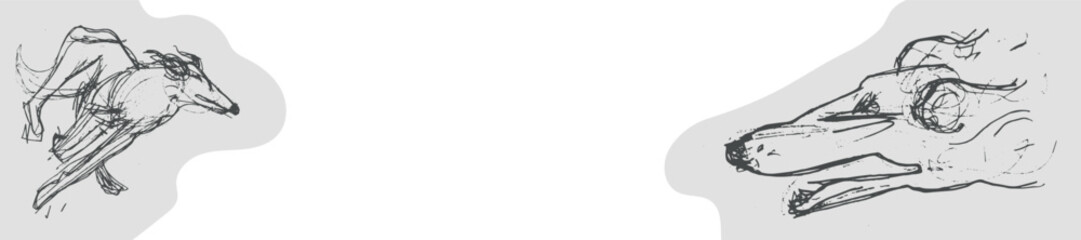 Hunting Sighthound dogs hand-drawn sketches - minimalist black ink drawing - Borzoi, hunting sighthound, whippet - linear vector illustrations. Dog breeding business concept. Banner template