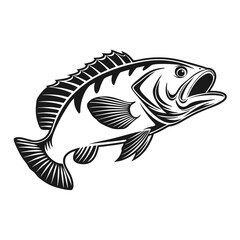 Black Grouper Fish  Vector Art and Illustration