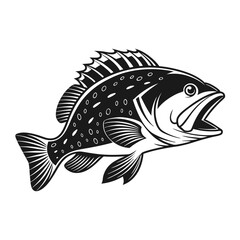 Black Grouper Fish  Vector Art and Illustration