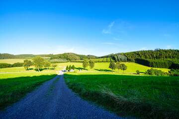 View of the green landscape near Oberhenneborn in the Sauerland. Hiking trails in nature.
