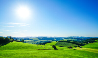 View of the green landscape near Oberhenneborn in the Sauerland. Hiking trails in nature.
