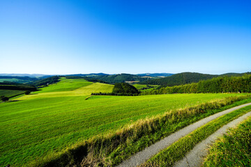 View of the green landscape near Oberhenneborn in the Sauerland. Hiking trails in nature.
