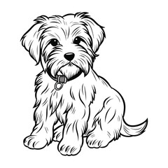 Elegant Silhouette Of A Black And White Dog Vector Illustration