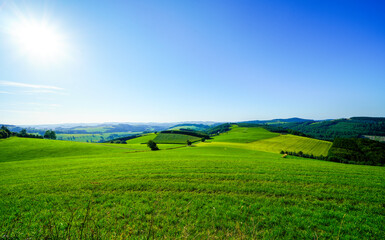 View of the green landscape near Oberhenneborn in the Sauerland. Hiking trails in nature.
