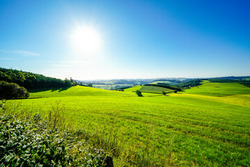 View of the green landscape near Oberhenneborn in the Sauerland. Hiking trails in nature.
