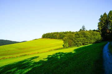 View of the green landscape near Oberhenneborn in the Sauerland. Hiking trails in nature.
