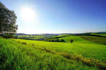 View of the green landscape near Oberhenneborn in the Sauerland. Hiking trails in nature.
