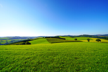 Fototapeta premium View of the green landscape near Oberhenneborn in the Sauerland. Hiking trails in nature. 