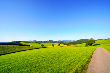 Obraz premium View of the green landscape near Oberhenneborn in the Sauerland.