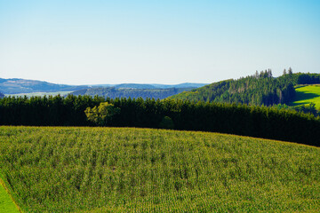 View of the green landscape near Oberhenneborn in the Sauerland.