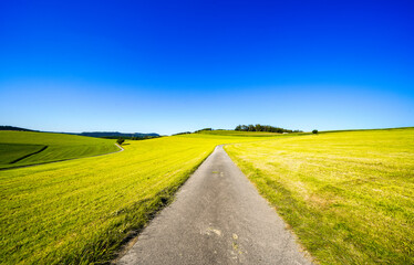 Fototapeta premium View of the green landscape near Oberhenneborn in the Sauerland. Hiking trails in nature. 