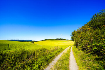 View of the green landscape near Oberhenneborn in the Sauerland. Hiking trails in nature.
