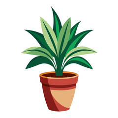 Dracaena plant in a terracotta pot with vibrant green leaves set against a bright white background for home decor ideas