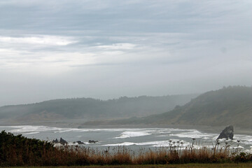 Coastal Mist