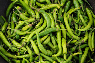 hari mirch Freshly plucked spicy green chillies. Chillies chilly pepper green, hareemirach, piment vert, spicy grunes chilli, peperoncino verde, capsicum frutescens, prasino tsili, zelenyy perets