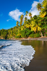 Anse Couleuvre is a secluded, idyllic beach with black sand on the dream island of Martinique in...