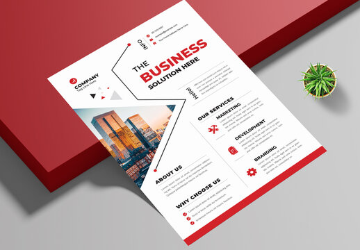 Business Flyer Design