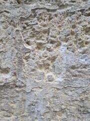 minimalistic background design - close up photography of a wall texture