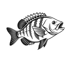 Bluegill Fish Vector Art and Illustration