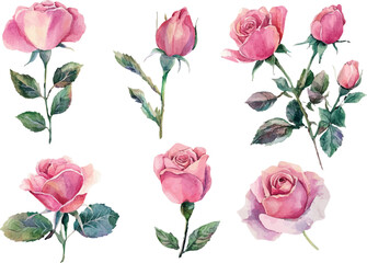 bouquet of pink roses