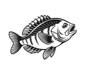 Bluegill Fish Vector Art and Illustration