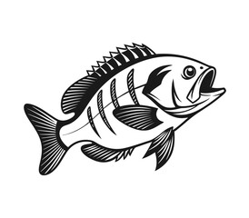 Bluegill Fish Vector Art and Illustration