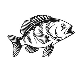 Bluegill Fish Vector Art and Illustration