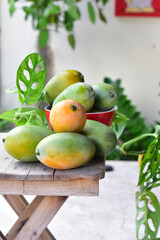 Manga é um fruto do tipo drupa produzido por uma árvore chamada mangueira. Muito consumida in natura, a manga apresenta grandes benefícios à saúde.