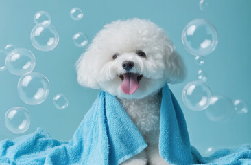 A cheerful small white dog sits wrapped in a soft blue towel, with its tongue out and a joyful expression. Bubbles float around, creating a playful atmosphere in a bright, calming space.