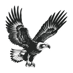 Elegant Silhouette Of A Black And White Eagle Vector Illustration
