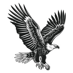 Elegant Silhouette Of A Black And White Eagle Vector Illustration
