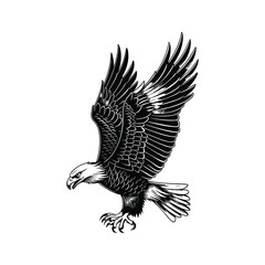 Elegant Silhouette Of A Black And White Eagle Vector Illustration