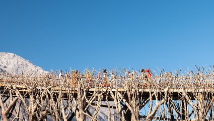 Lijiang, China, watch the Lijiang performance and climb the jade dragon mountain