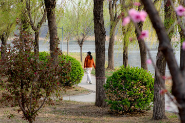 Spring arrives, and everything along the garden riverbank is renewed. Plants grow tender shoots and...
