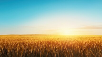 Obraz premium Sunflower fields stretching endlessly toward a glowing summer sunset