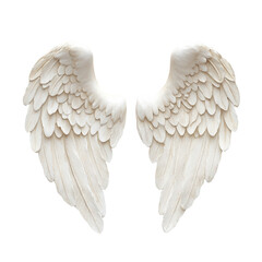 Fototapeta premium Elegant white angel wings designed for home decor and crafts