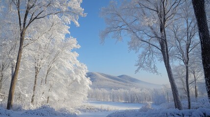 Obraz premium Snow Covered Winter Landscape With Distant Mountains