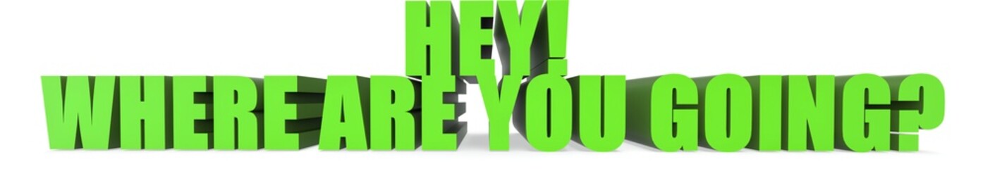 Obraz premium Hey! Where Are You Going?, 3d text