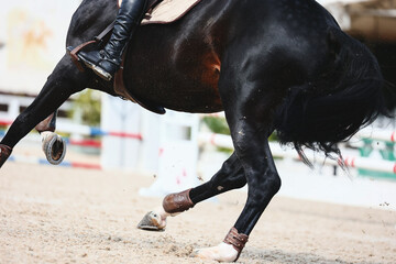 Horse jumping, Equestrian sports, Show jumping. Black horse legs close up. Shooting from behind