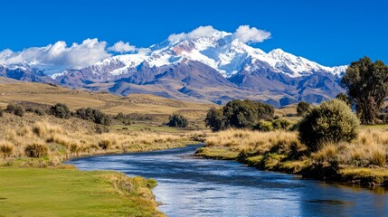 Naklejka premium Andean River Valley with Majestic Snow-Capped Peak