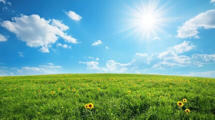 Idyllic Sunflower Meadow under Bright Blue Sky with Fluffy White Clouds, Joyful Outdoor Scenery