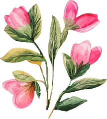 pink and green leaves isolated