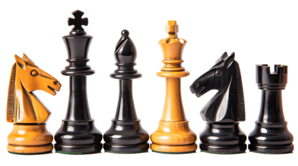 Set of unique chess pieces arranged in rows, isolated on white, cut out